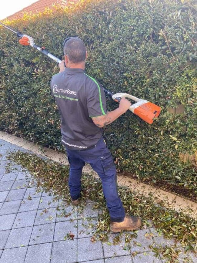 Garden Maintenance