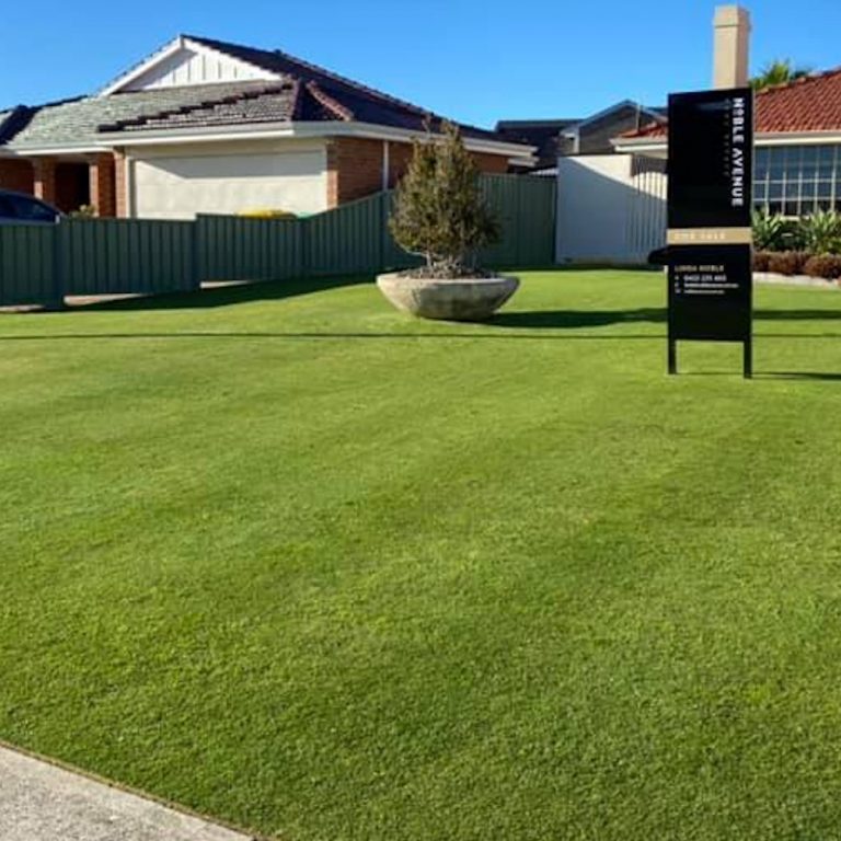 Lawn Mowing Services Near Me - Garden Spec