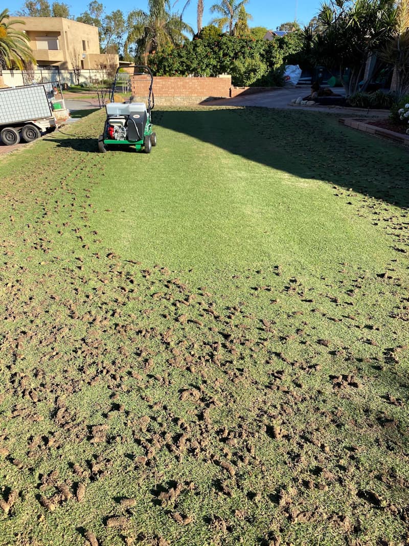 Lawn Aeration