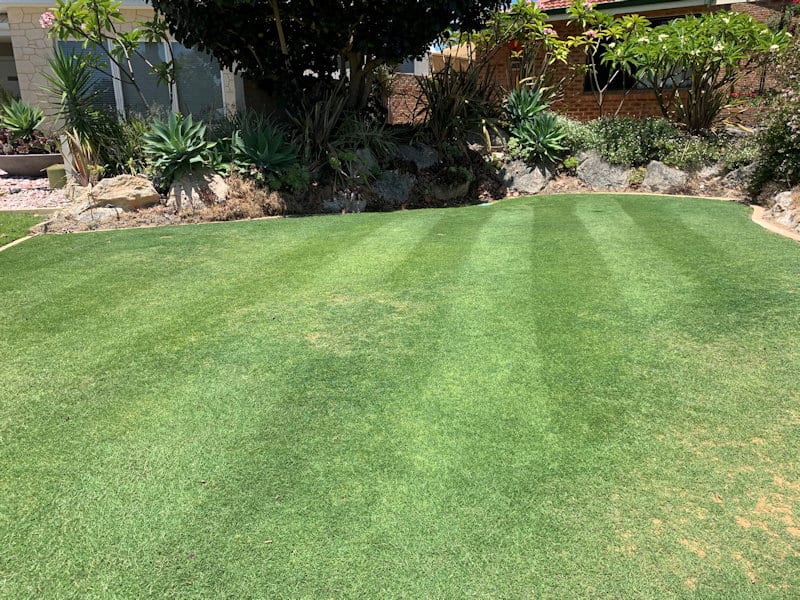 Lawn Renovations Perth