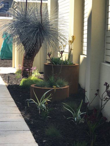 Garden Maintenance Services Near Me