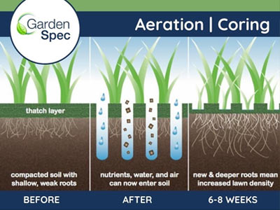 Lawn Aeration / Lawn Coring Perth WA