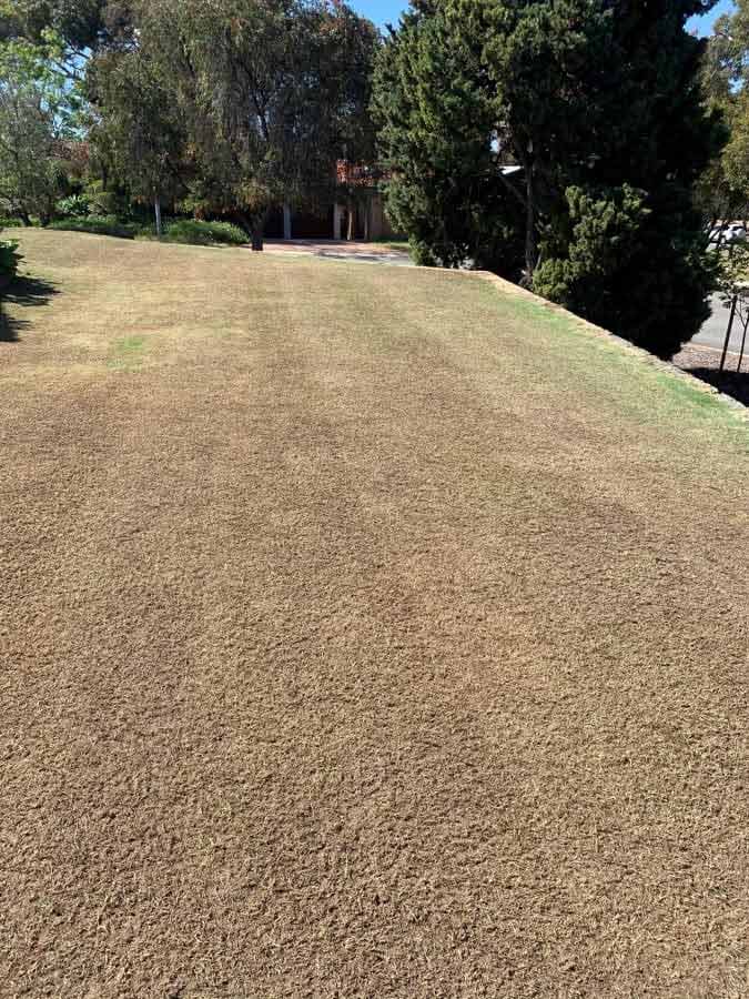 Vertimowing Cost, Lawn Dethatching - Perth WA