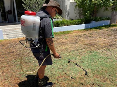 Lawn Care & Weed Control
