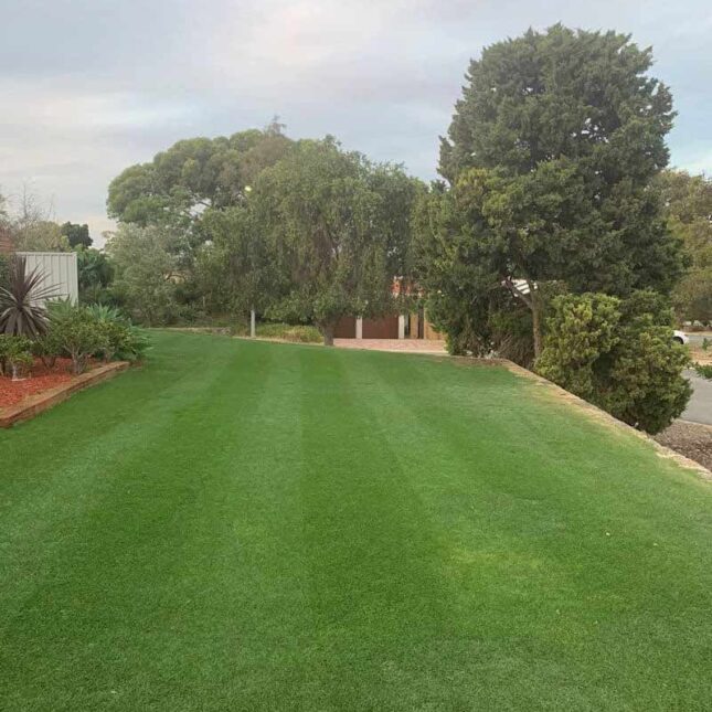 Vertimowing Perth WA