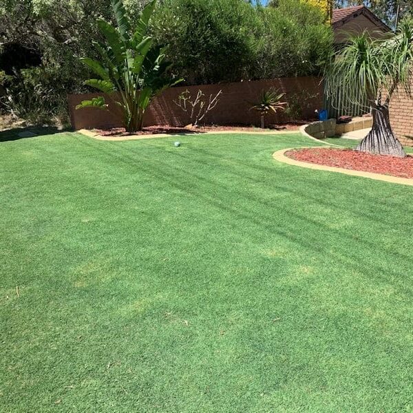 lawn care perth