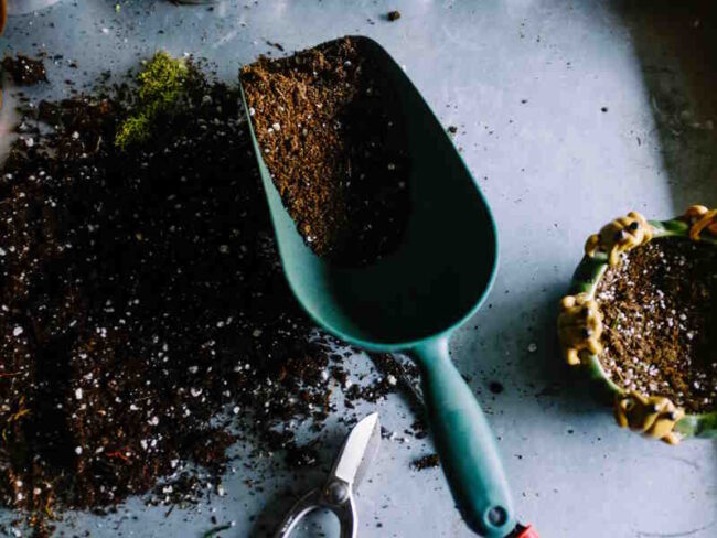 How to Level a Garden: Questions about landscaping and preparing the garden terrain.