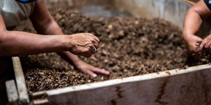 Is Mulch the Same as Compost: Clarifying the differences and uses of mulch and compost in gardening. Is Mulch the Same as Compost: Clarifying the differences and uses of mulch and compost in gardening.