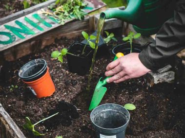 Questions about Specific Gardening Products: Insights on Garden Furniture, Tools, and Accessories