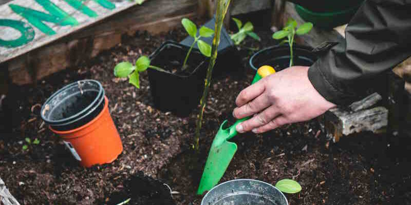 Questions about Specific Gardening Products: Insights on Garden Furniture, Tools, and Accessories Questions about Specific Gardening Products: Insights on Garden Furniture, Tools, and Accessories