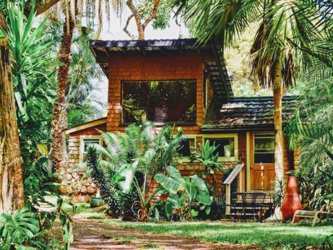 What are Cottage Garden Plants: Inquiries about creating a traditional cottage garden look.