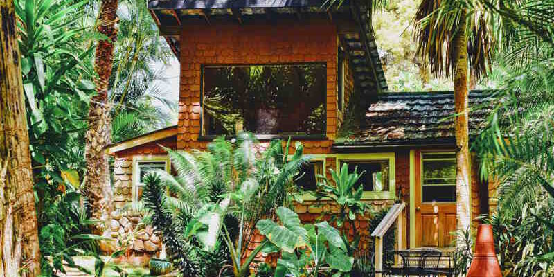 What are Cottage Garden Plants: Inquiries about creating a traditional cottage garden look. What are Cottage Garden Plants: Inquiries about creating a traditional cottage garden look.