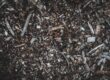 What is Mulch in Gardening: Uncovering Its Types and Role