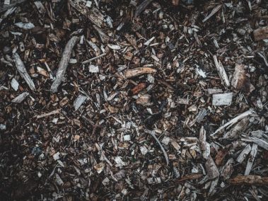 What is Mulch in Gardening: Uncovering Its Types and Role