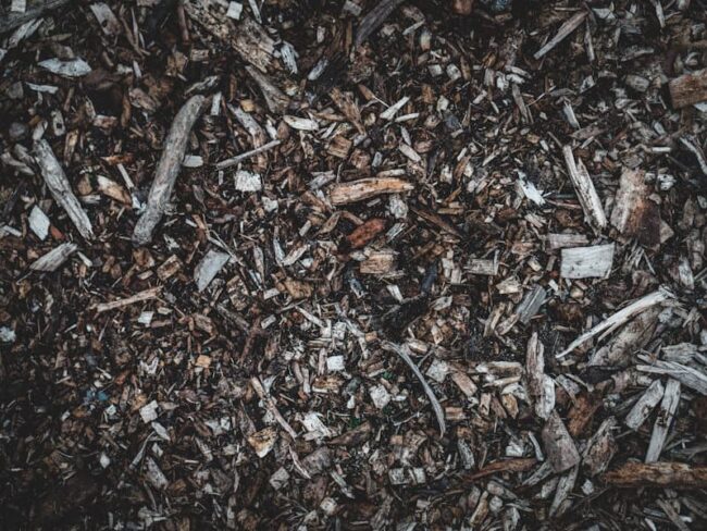What is Mulch in Gardening: Uncovering Its Types and Role What is Mulch in Gardening: Uncovering Its Types and Role