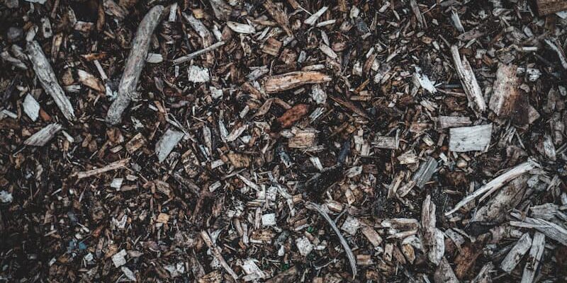 What is Mulch in Gardening: Uncovering Its Types and Role What is Mulch in Gardening: Uncovering Its Types and Role