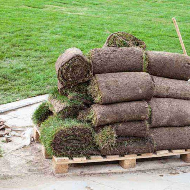 Turf Supply