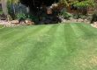 Why Your Perth Lawn Keeps Dying (and How to Fix It)