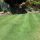 Why Your Perth Lawn Keeps Dying (and How to Fix It)