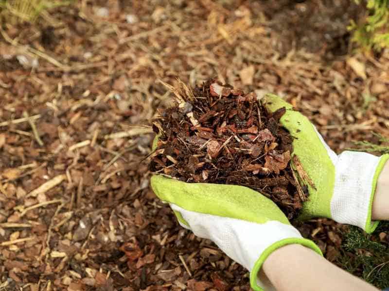 Mulching