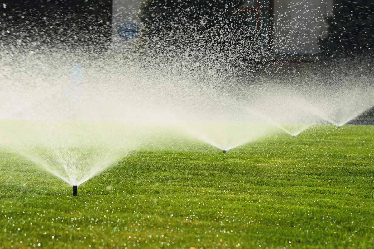 Watering a new lawn under Perth's sprinkler roster