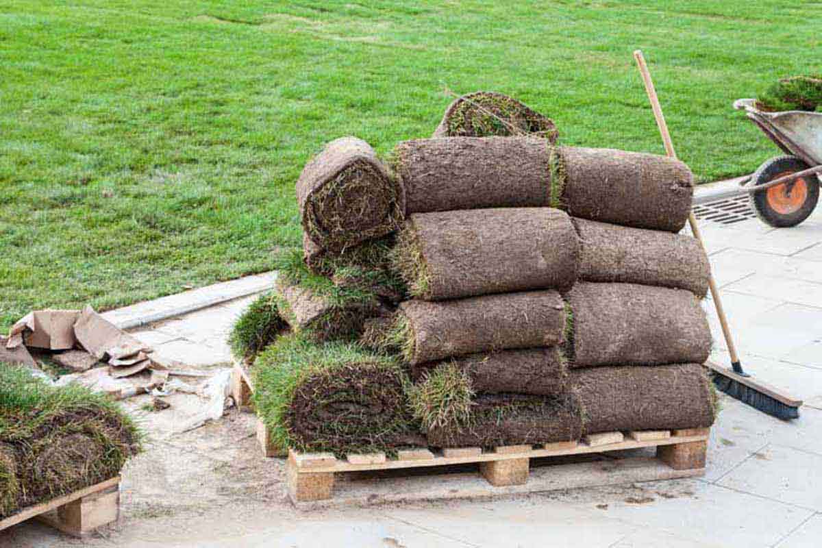 How much turf do you need?