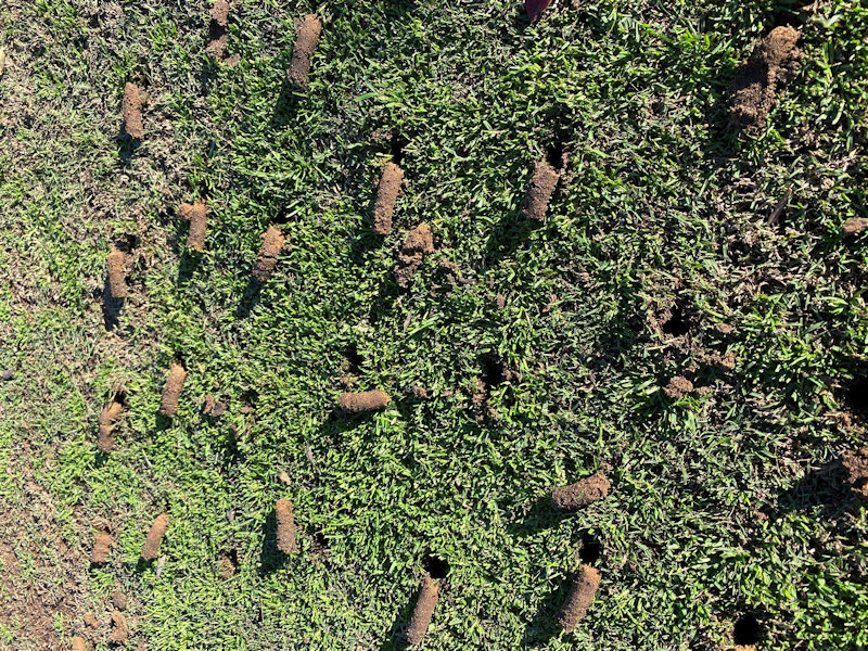 lawn aeration