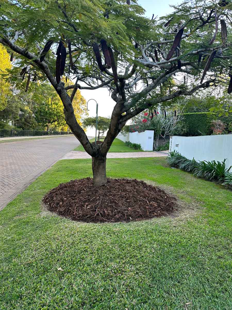 mulching gardens