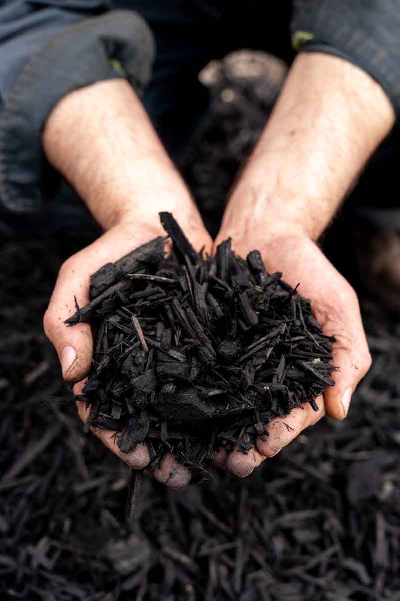 Mulching for garden
