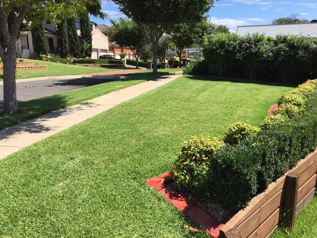Turf Supply and Installation Perth