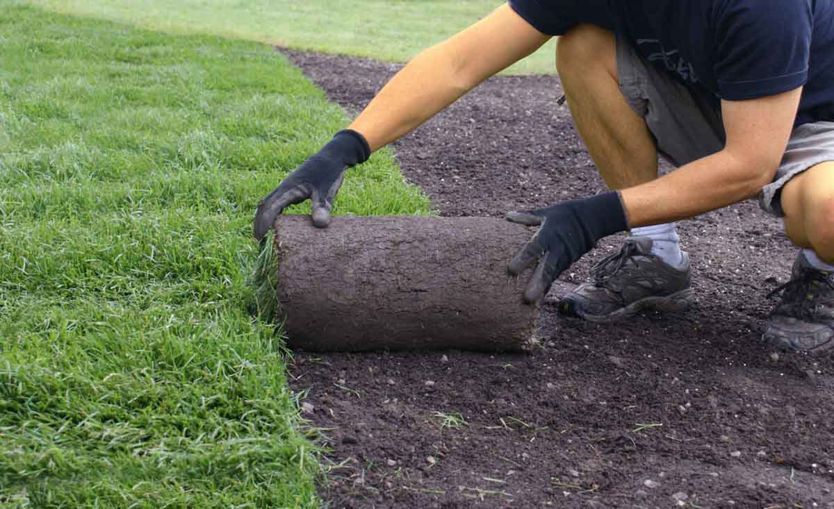 Laying the turf