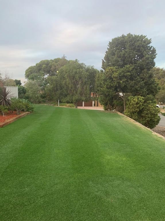 lawn weed control Perth