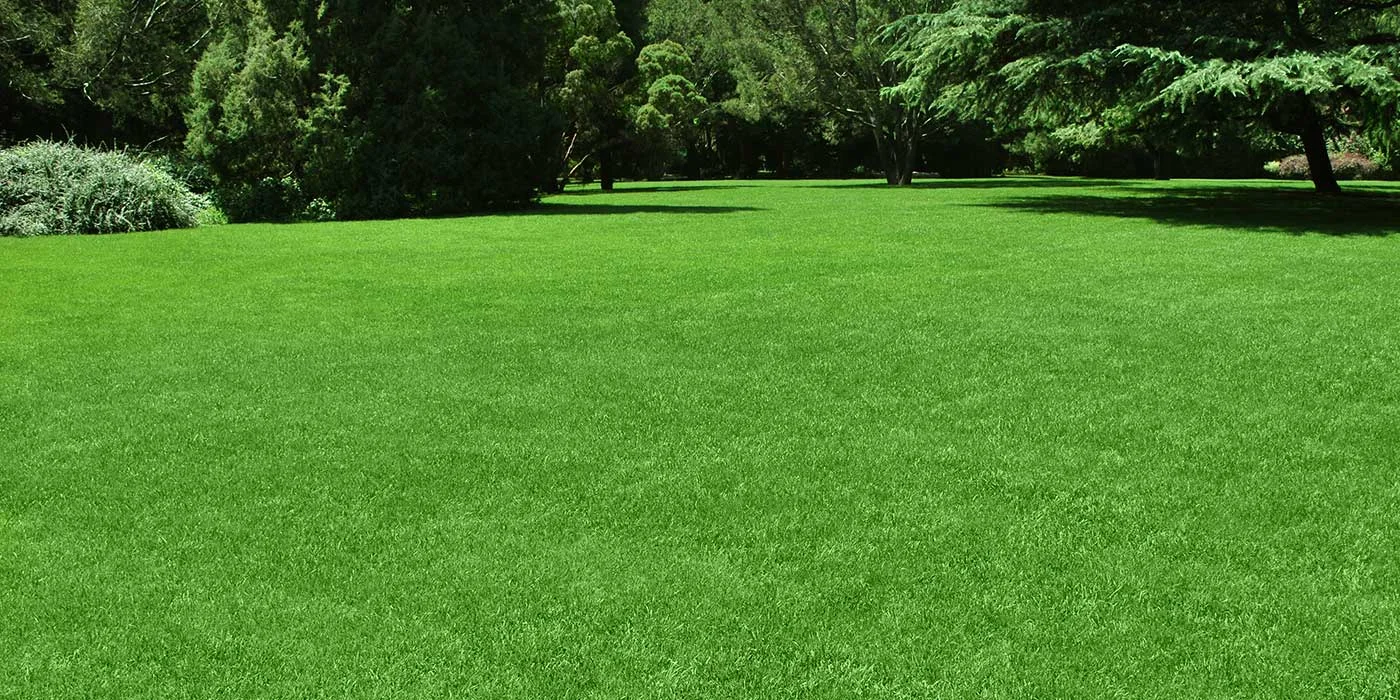 Lawncare services across Perth